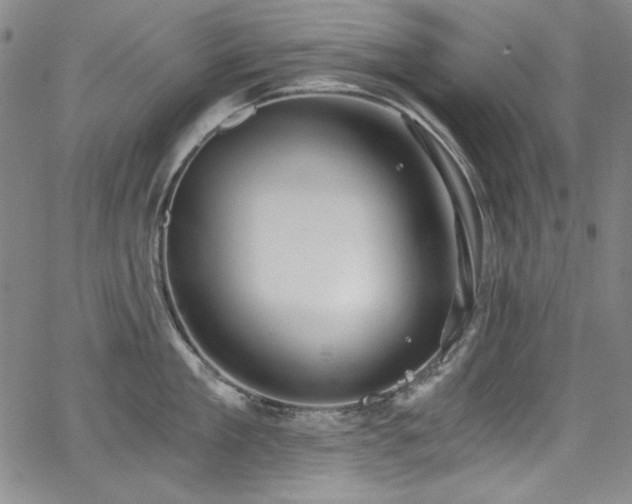 X0000068310909200604211201