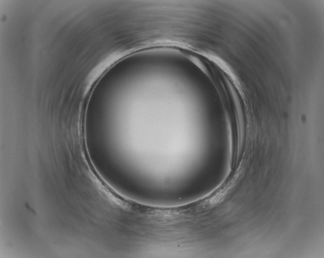 X0000068310910200604211201