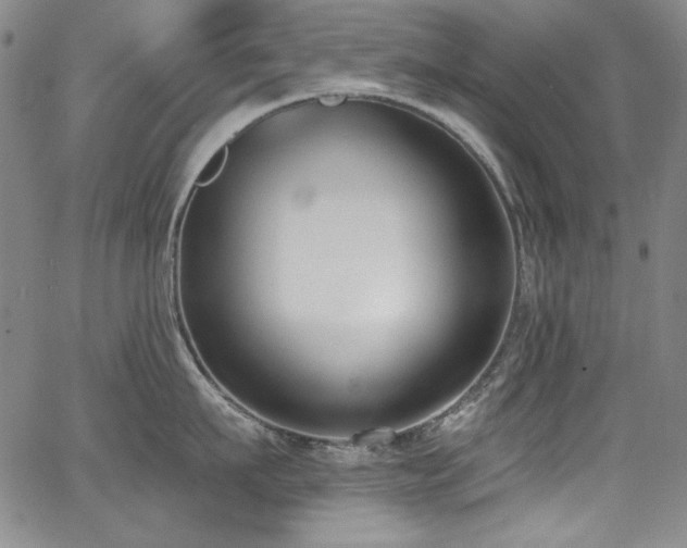 X0000068310911200604211201