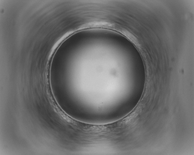 X0000068310912200604211201