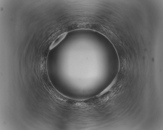 X0000068310914200604211200