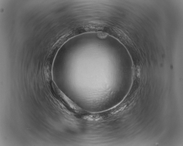 X0000068310915200604211200