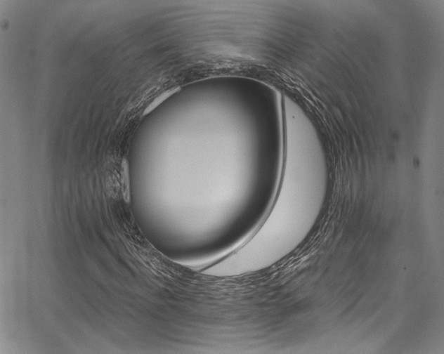 X0000068310916200604211200