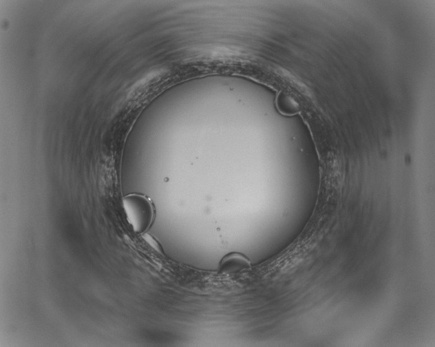 X0000068310918200604211200