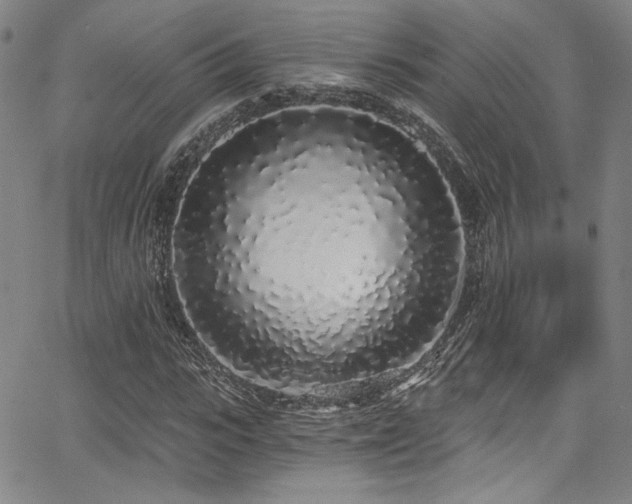 X0000068310919200604211200