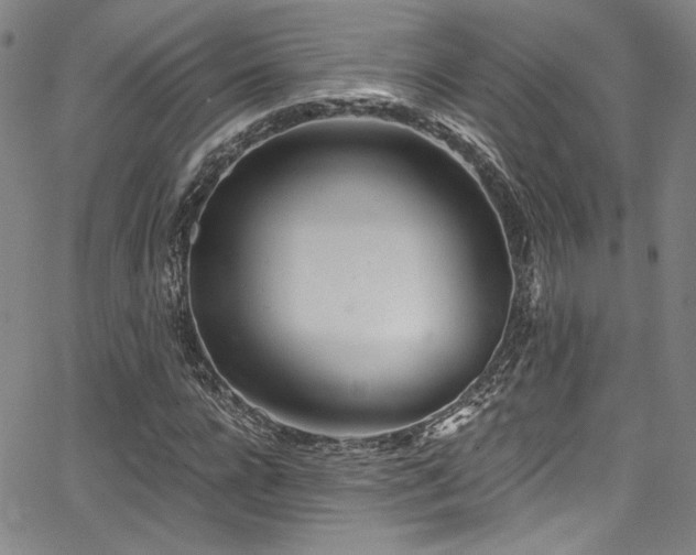 X0000068310920200604211200