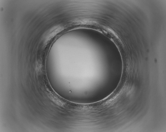 X0000068310922200604211200