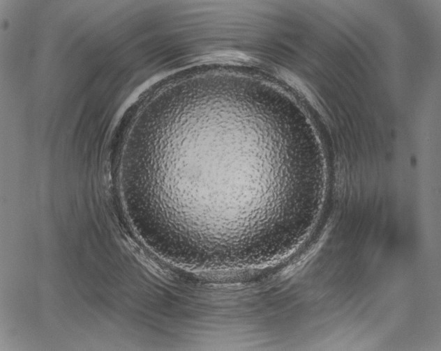 X0000068310923200604211200