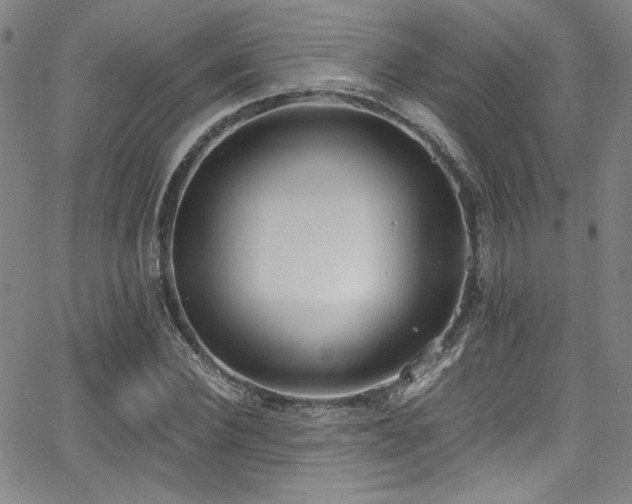 X0000068310924200604211200