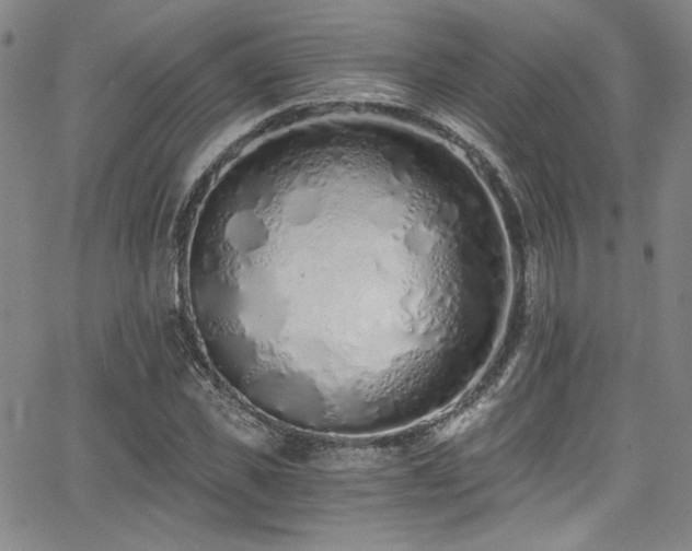 X0000068310925200604211200