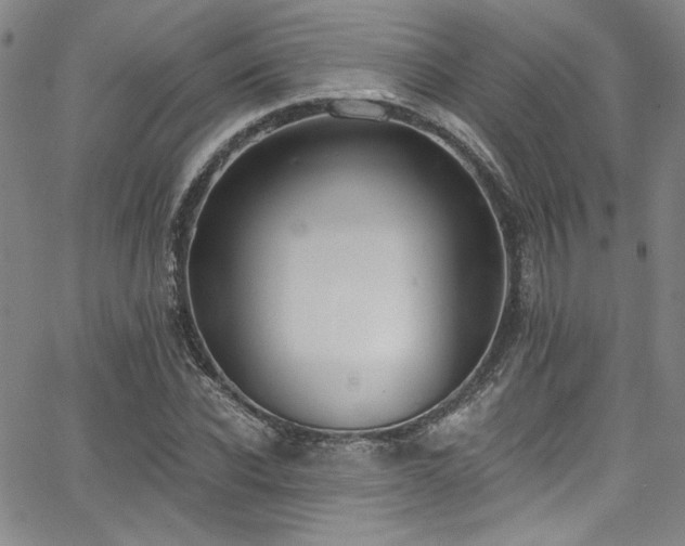 X0000068310926200604211200