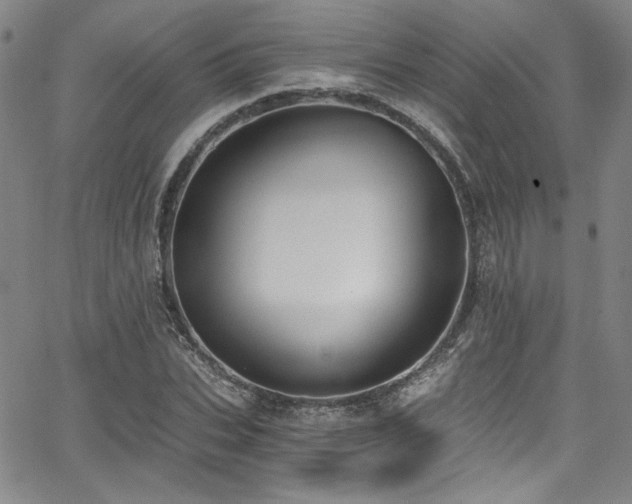 X0000068310927200604211200