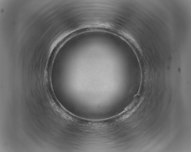 X0000068310928200604211200