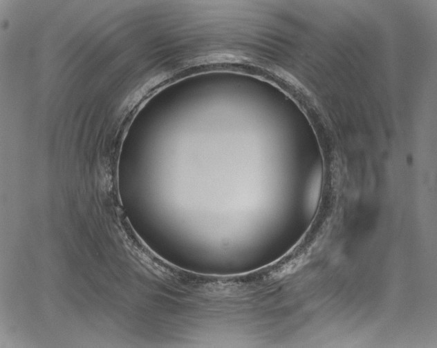 X0000068310929200604211200