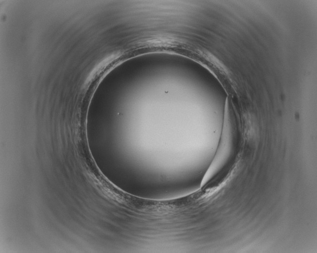 X0000068310930200604211200