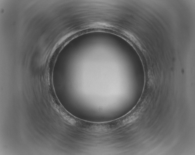 X0000068310931200604211200