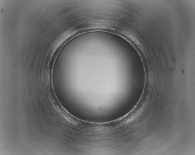 X0000068310933200604211200