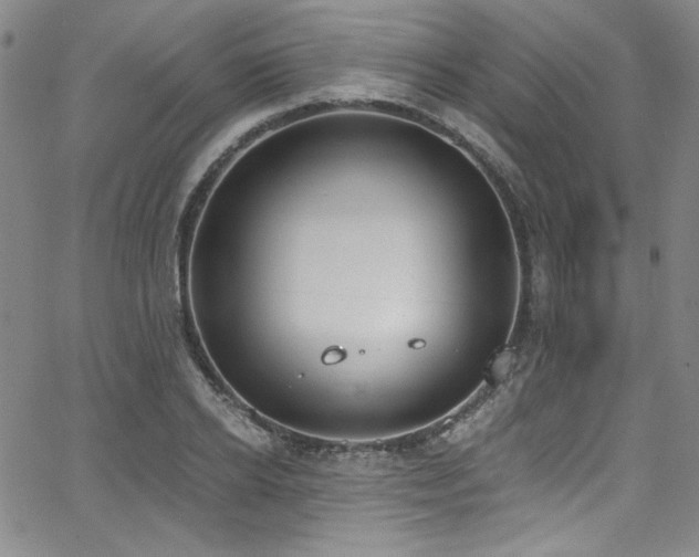 X0000068310934200604211200