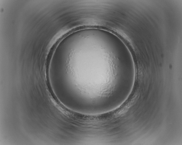 X0000068310935200604211200