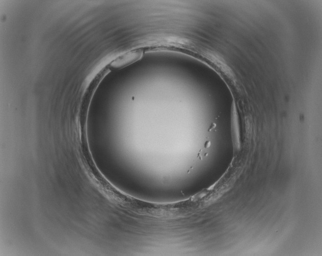 X0000068310936200604211200