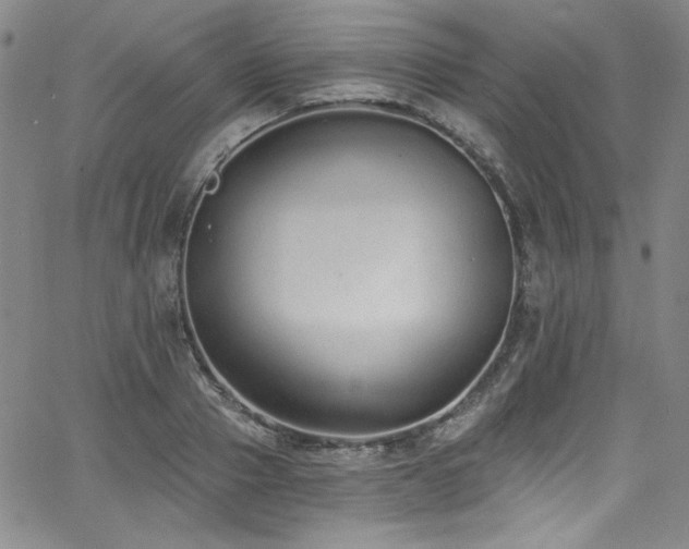 X0000068310937200604211200