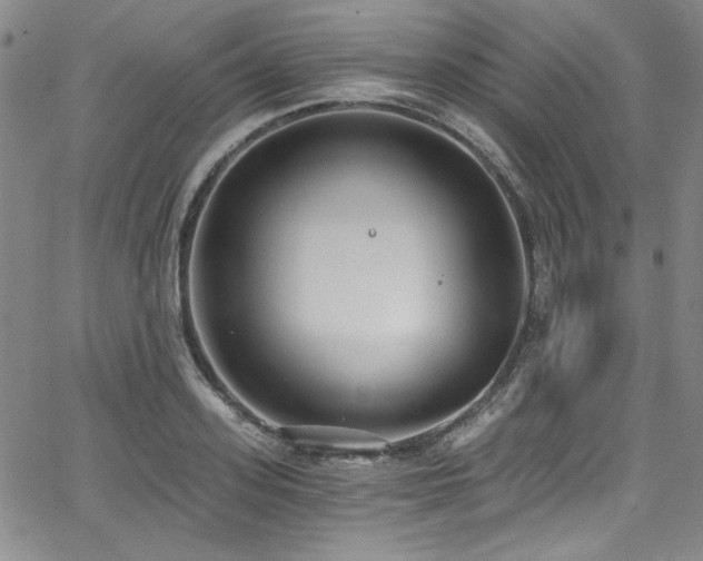 X0000068310939200604211200