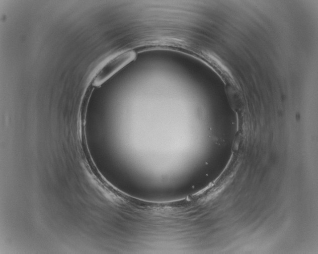 X0000068310940200604211200