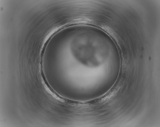 X0000068310941200604211200