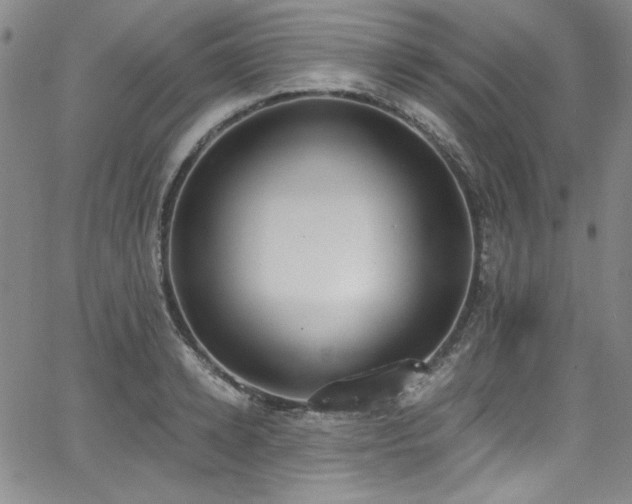 X0000068310942200604211200