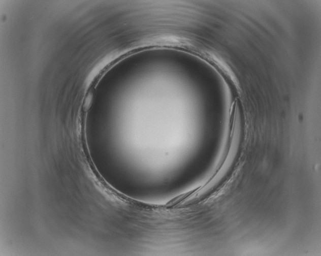 X0000068310944200604211200