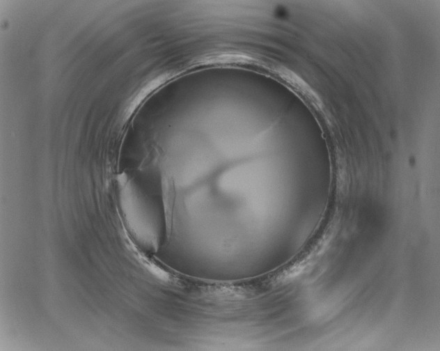 X0000068310945200604211200