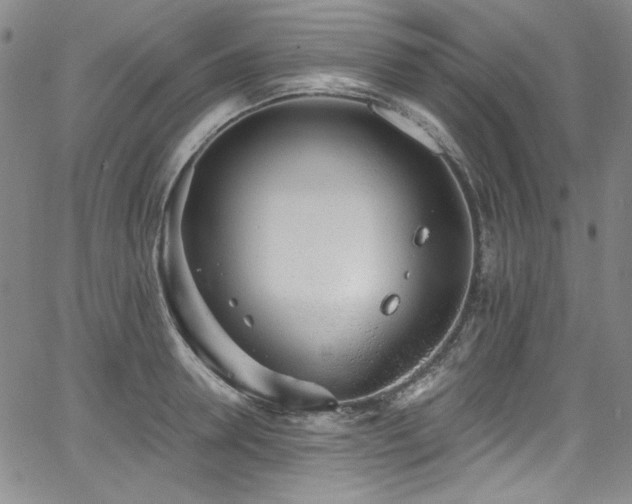 X0000068310946200604211200