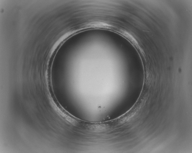 X0000068310947200604211200