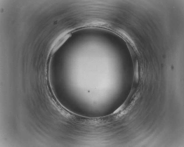 X0000068310948200604211200