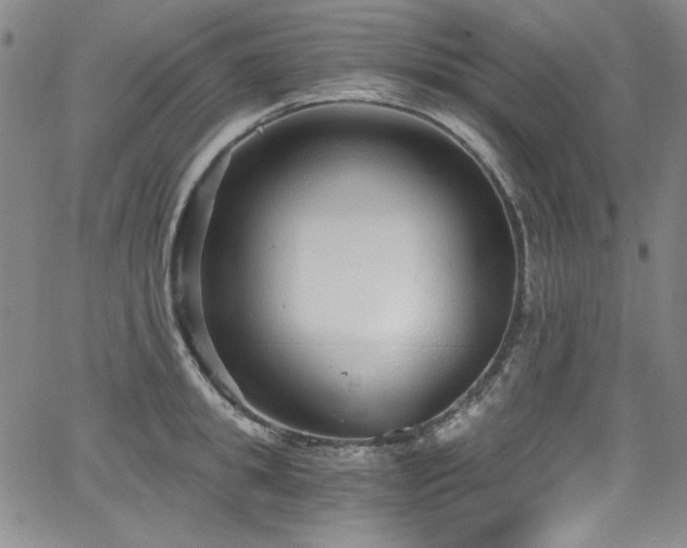 X0000068310949200604211200