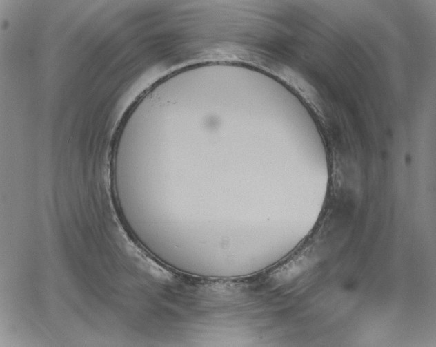 X0000068310950200604211200