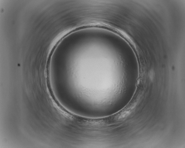 X0000068310951200604211200