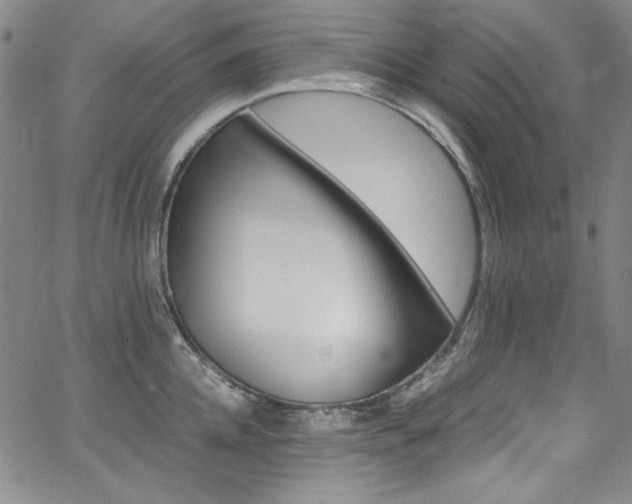 X0000068310952200604211200