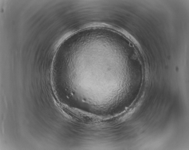 X0000068310953200604211200