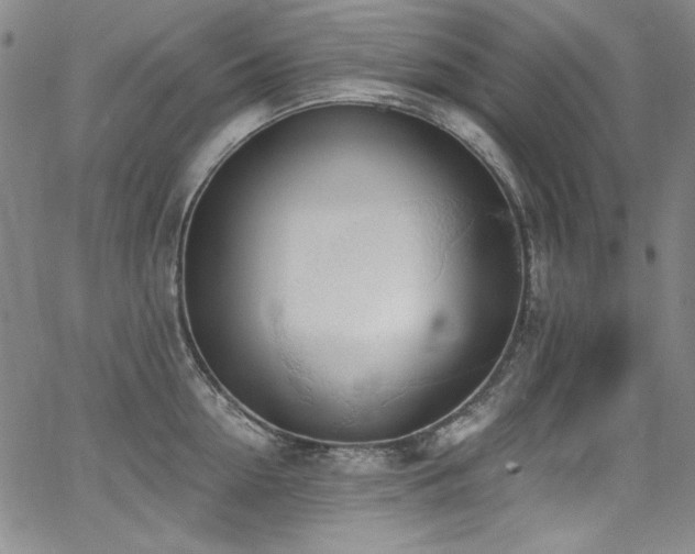 X0000068310954200604211200