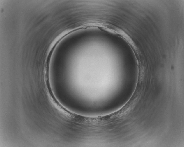 X0000068310955200604211200