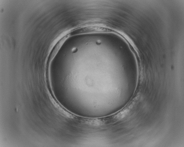 X0000068310957200604211201