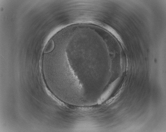 X0000068310958200604211201