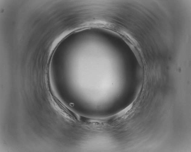 X0000068310960200604211201