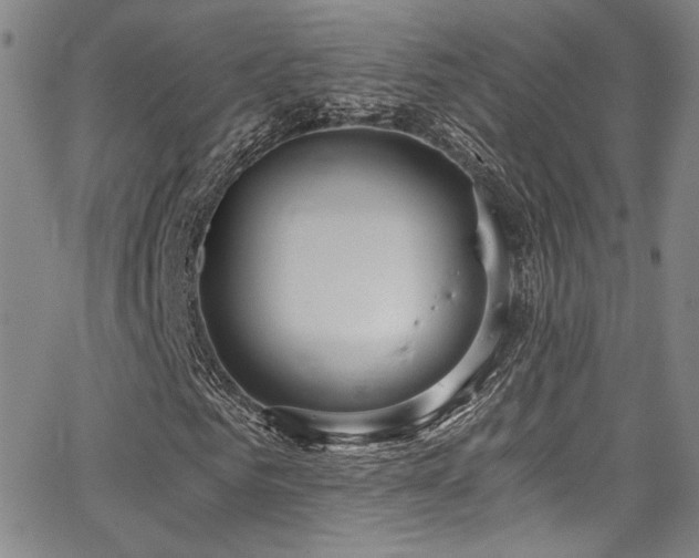 X0000068310961200604211200