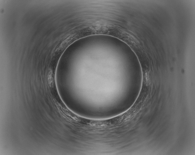 X0000068310963200604211200