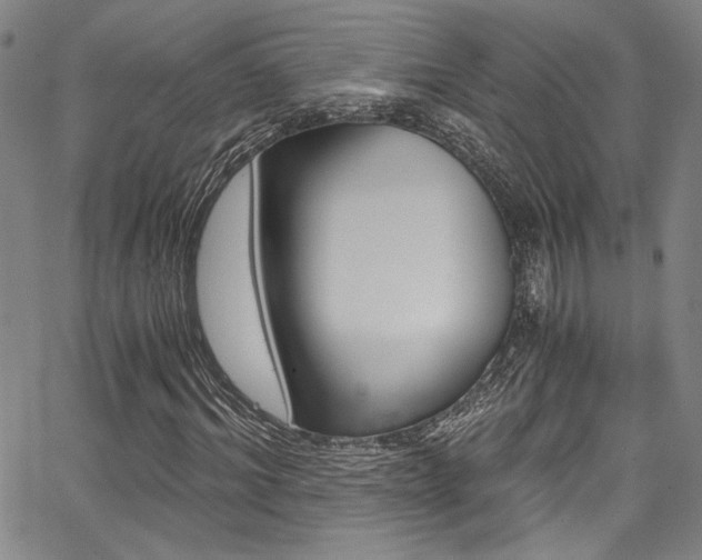 X0000068310964200604211200