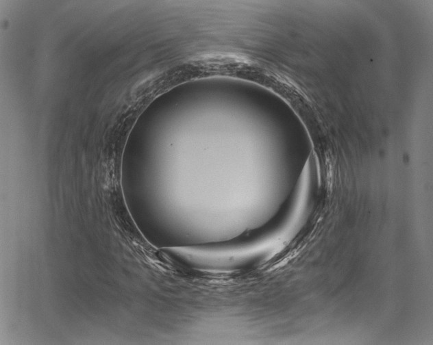 X0000068310965200604211200