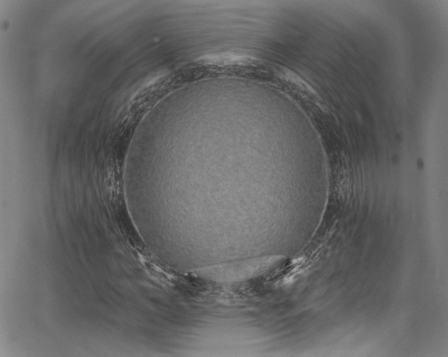 X0000068310966200604211200