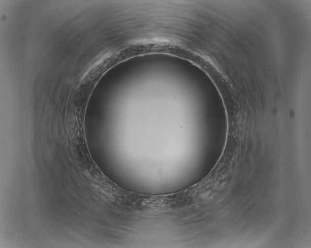 X0000068310967200604211200